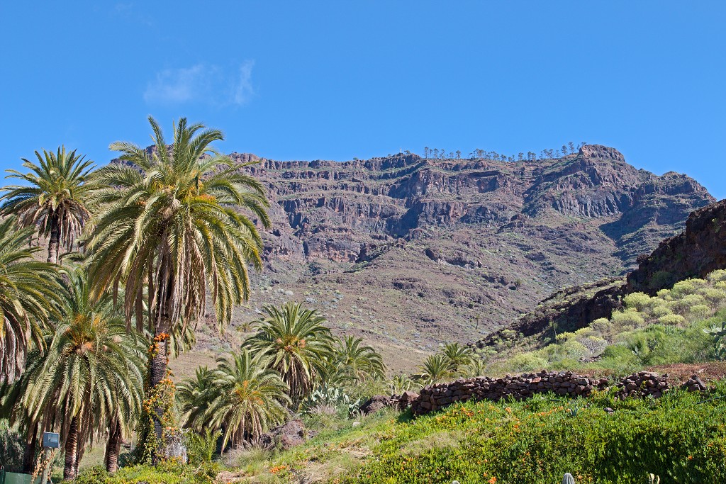 gran canaria spanje Degollada de las Yeguas eiland canarische Eilanden las palmas maspalomas puerto de mogan strand Fuente de Los Azulejos Aguimes la Aldea las nieves tenerife teror